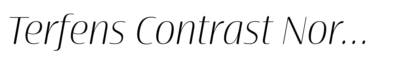 Terfens Contrast Norm Light Italic
